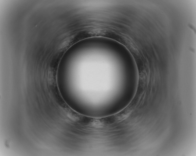 X0000095880416200801111137