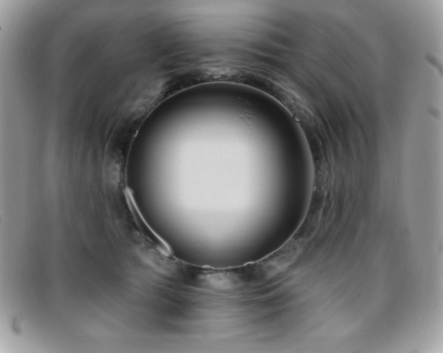 X0000095880417200801111137