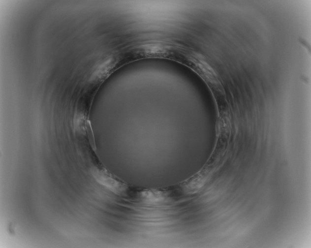 X0000095880419200801111137