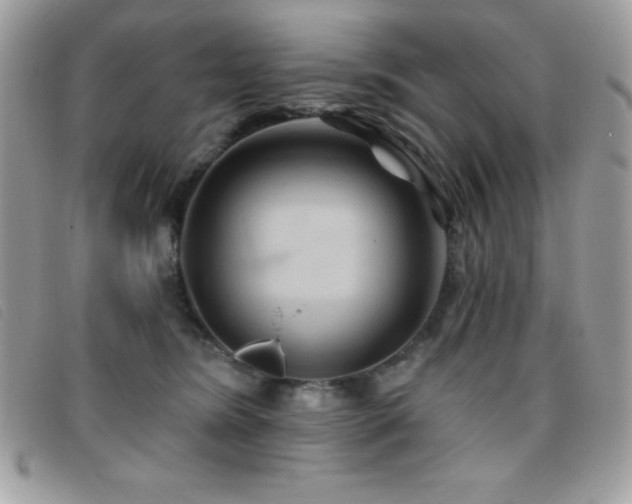 X0000095880420200801111137