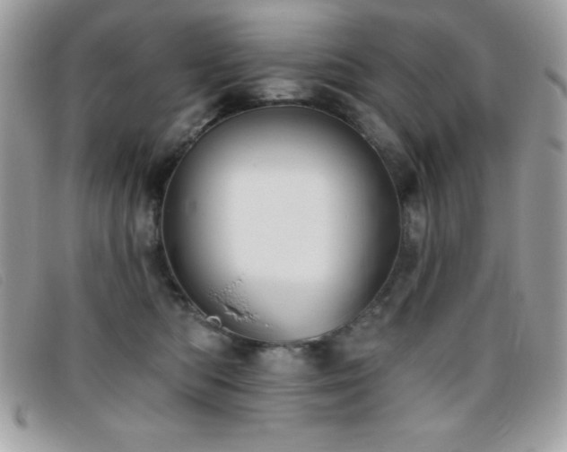 X0000095880422200801111137