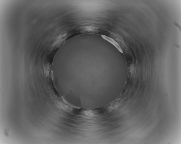 X0000095880423200801111137