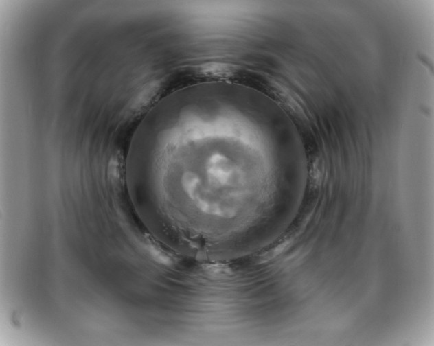 X0000095880424200801111137