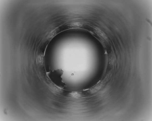 X0000095880425200801111137