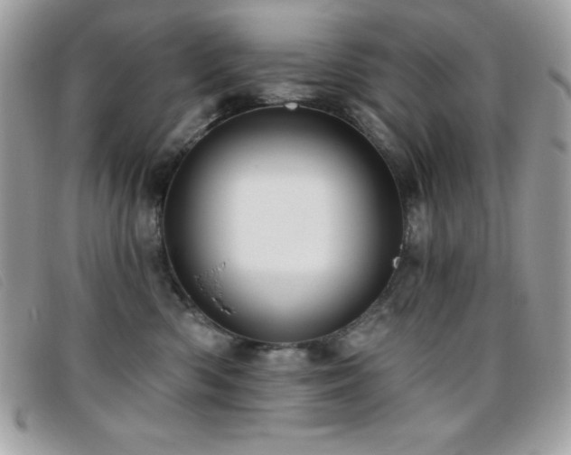 X0000095880426200801111137