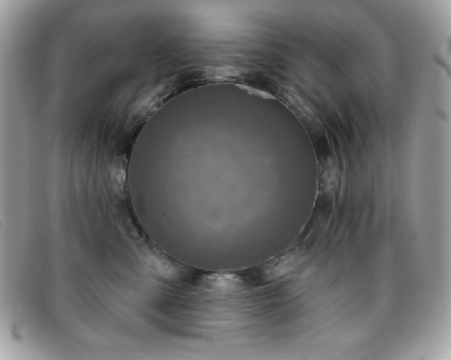 X0000095880427200801111137