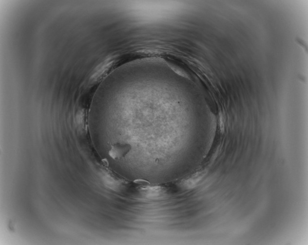 X0000095880428200801111137