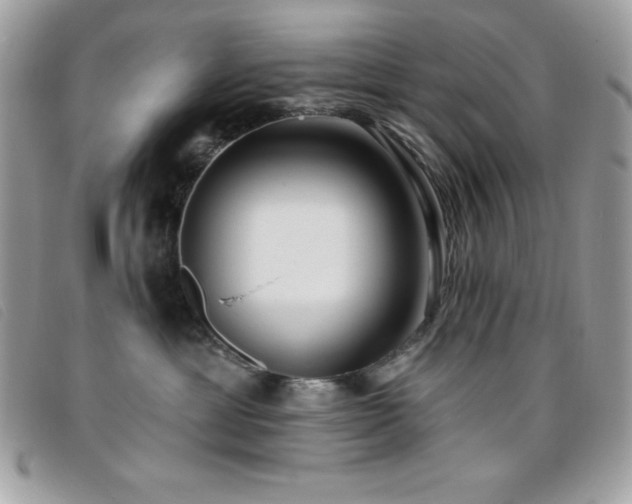 X0000095880429200801111137
