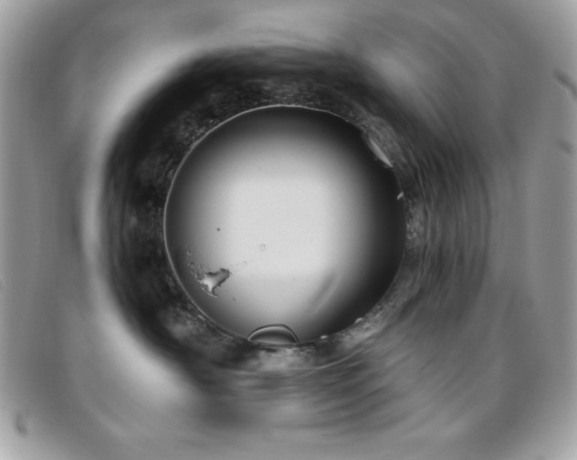 X0000095880430200801111137