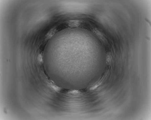 X0000095880431200801111137