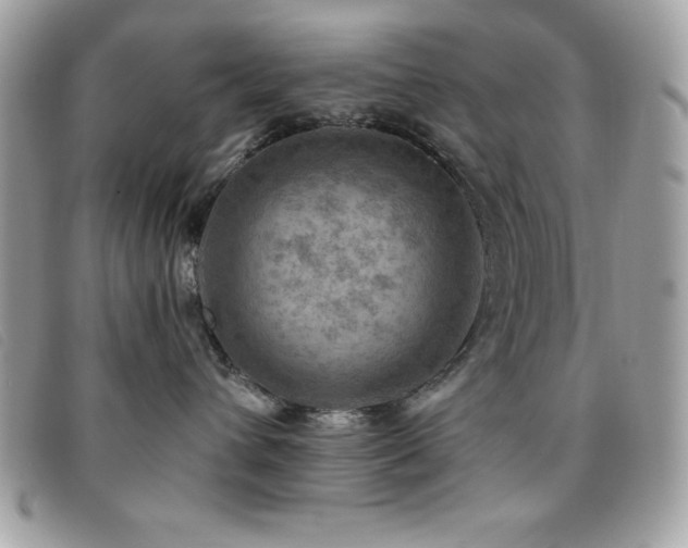 X0000095880432200801111137