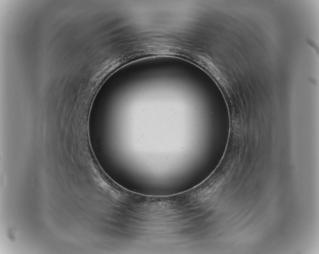 X0000095880433200801111137