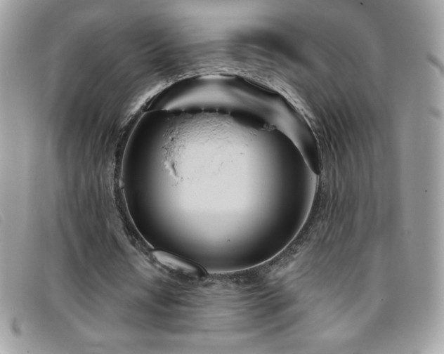 X0000095880434200801111137