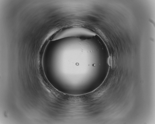 X0000095880435200801111137