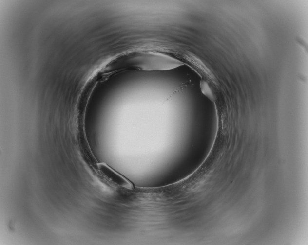 X0000095880436200801111137
