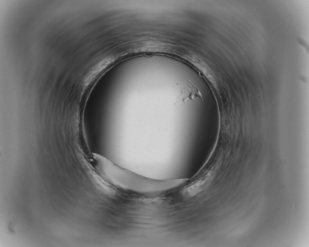 X0000095880437200801111137