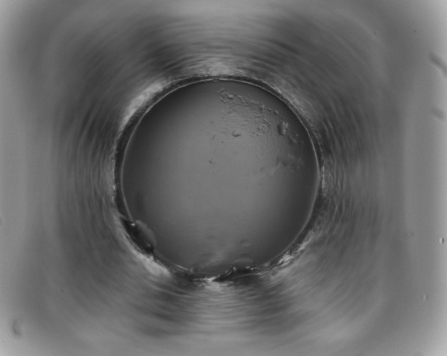 X0000095880438200801111137
