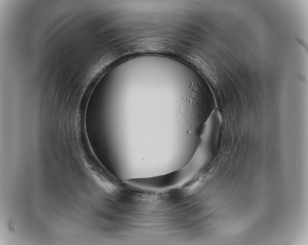 X0000095880439200801111137