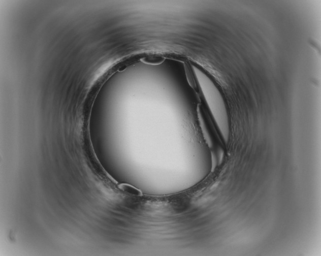 X0000095880440200801111137