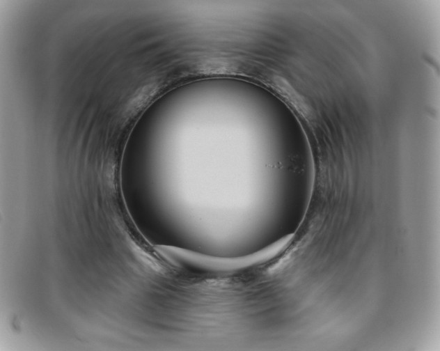 X0000095880441200801111137