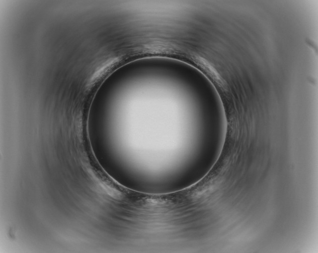 X0000095880442200801111137