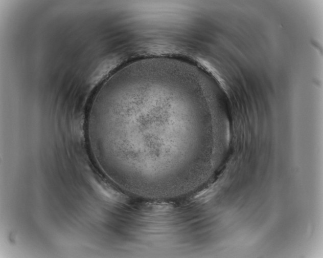 X0000095880443200801111137
