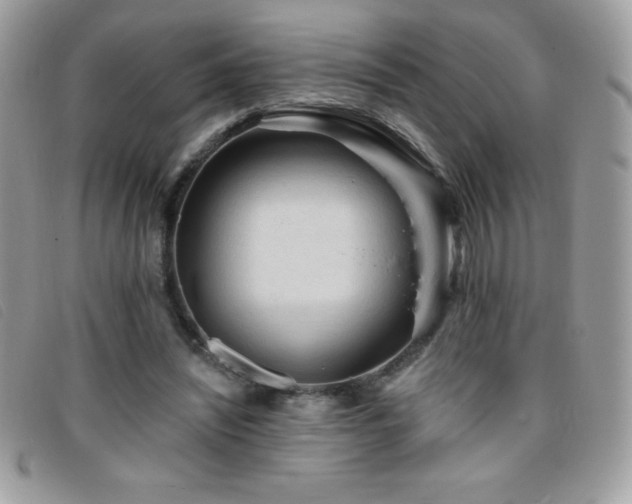 X0000095880444200801111137