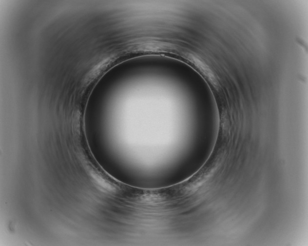 X0000095880445200801111137