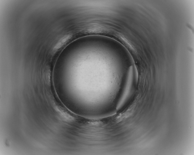 X0000095880446200801111137