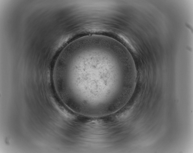 X0000095880447200801111137