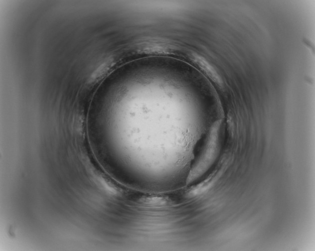 X0000095880449200801111137