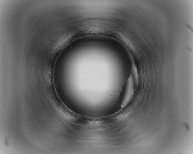 X0000095880450200801111137