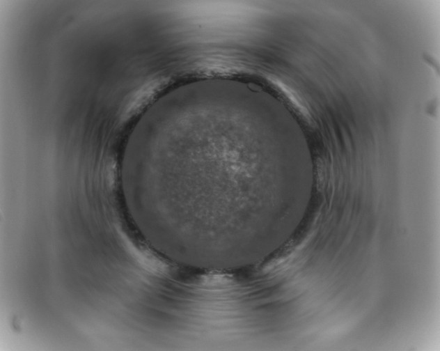 X0000095880451200801111137