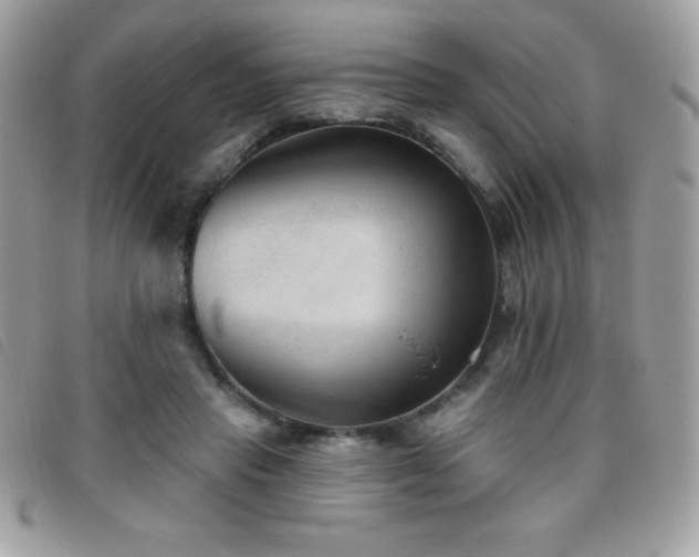X0000095880453200801111137
