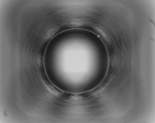 X0000095880455200801111137