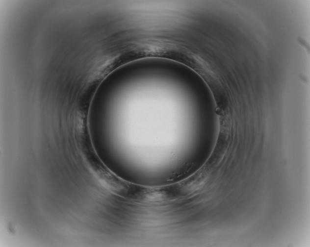 X0000095880456200801111137