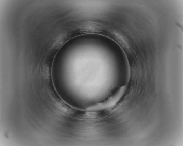 X0000095880457200801111137