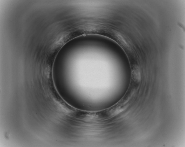 X0000095880458200801111137
