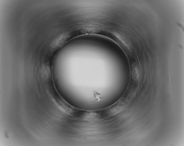X0000095880459200801111137