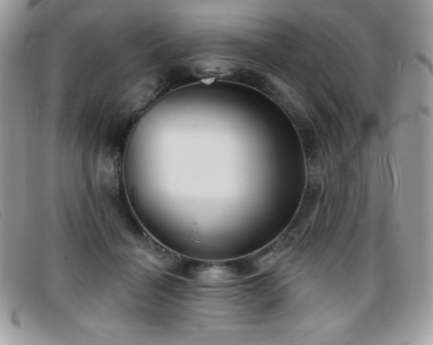 X0000095880460200801111137