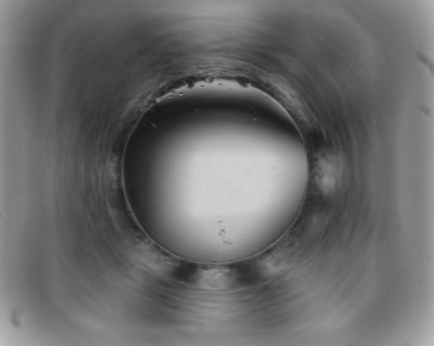 X0000095880461200801111137