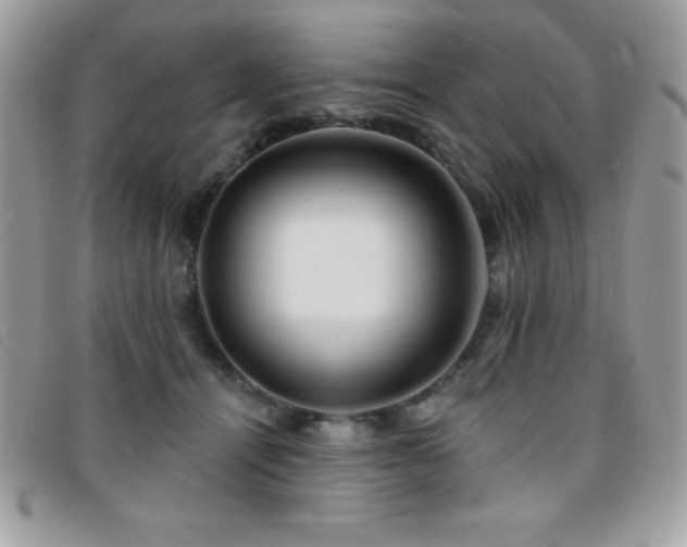X0000095880464200801111137
