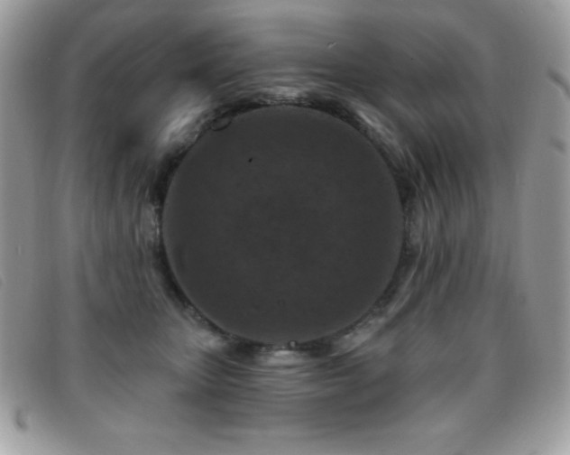 X0000095880467200801111137