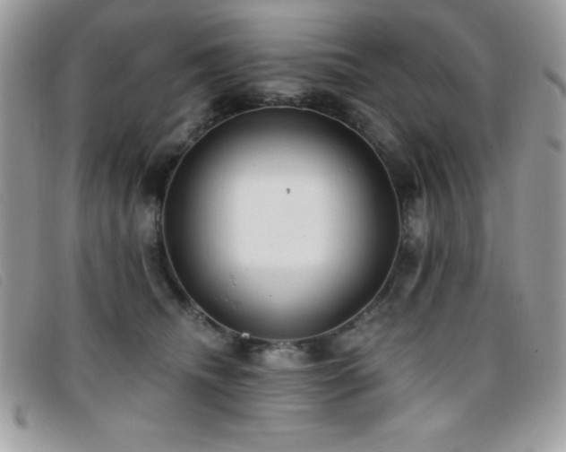 X0000095880468200801111137