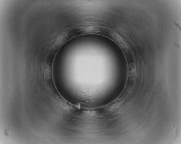 X0000095880469200801111137