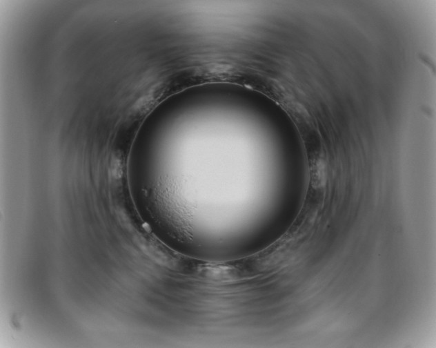 X0000095880472200801111137