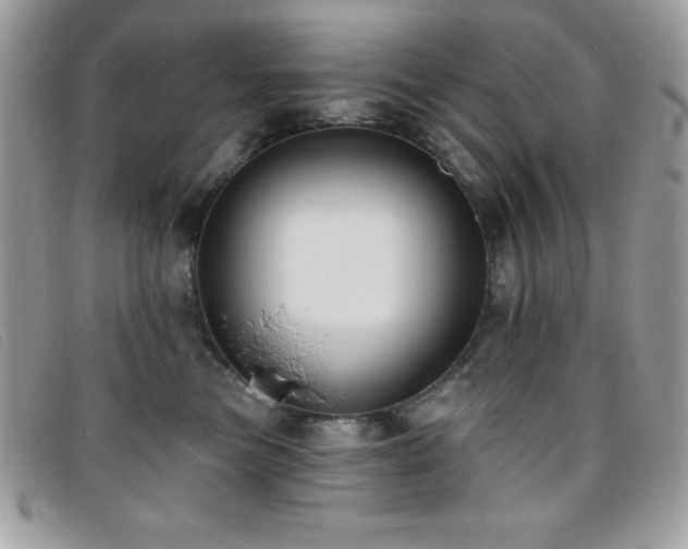 X0000095880473200801111137