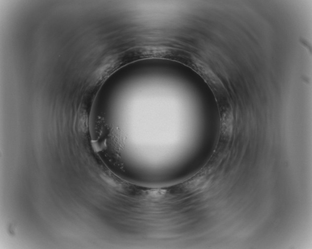 X0000095880474200801111137