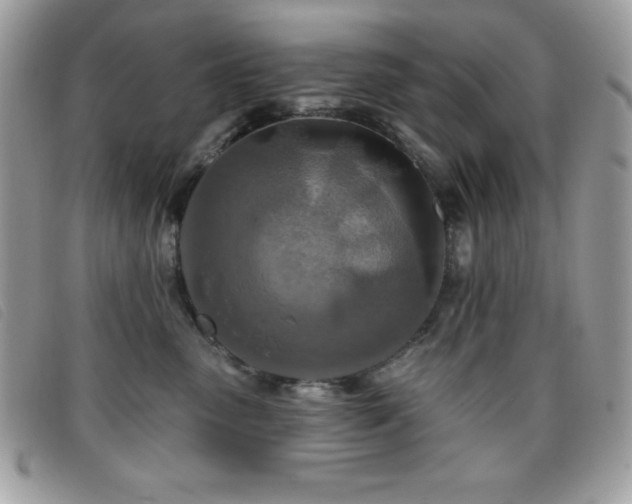 X0000095880475200801111137