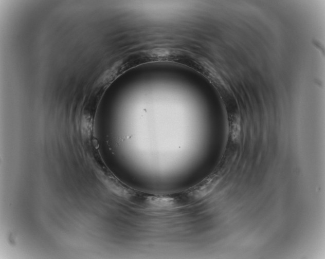 X0000095880476200801111137